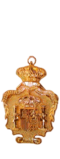 Medallas Doctores Universidad