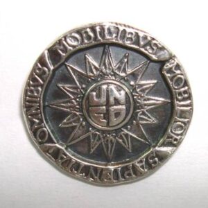 Pin UNED plata de ley